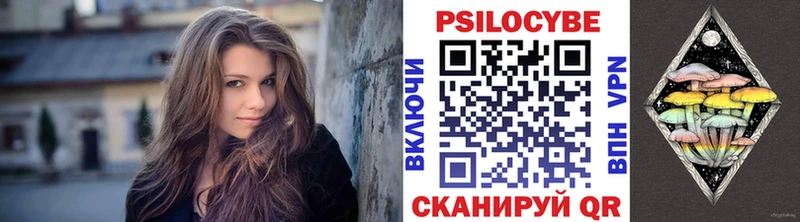 дарнет шоп  MEGA зеркало  Псилоцибиновые грибы Psilocybe  Зверево 