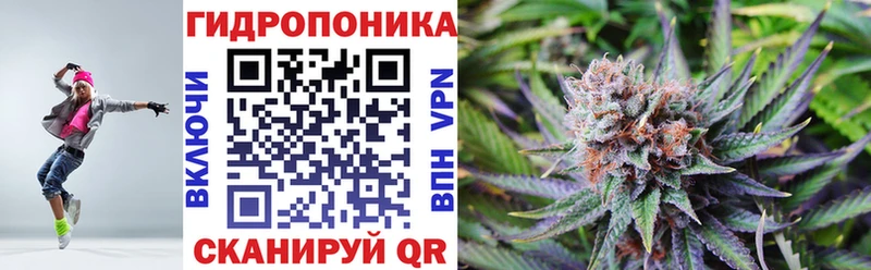 ОМГ ОМГ ТОР  Зверево  Конопля семена  хочу  
